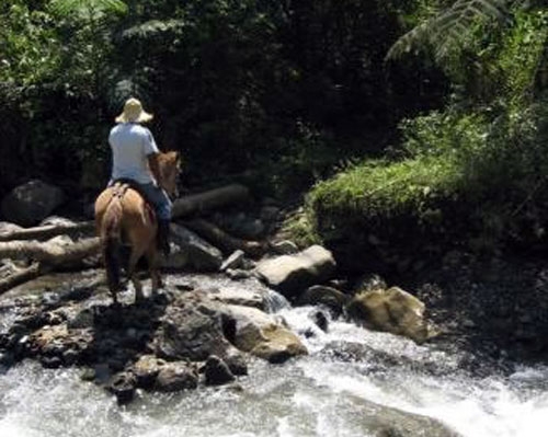 Andes et Haciendas en Equateur