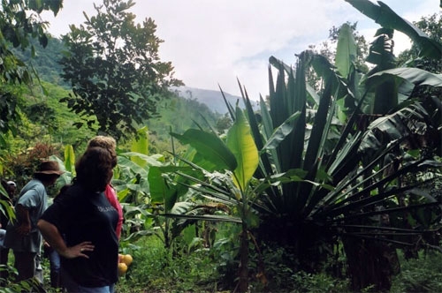 Andes et Haciendas en Equateur