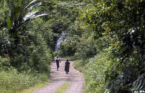 Andes et Haciendas en Equateur