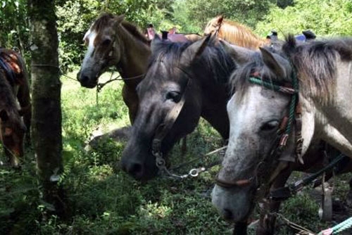 Andes et Haciendas en Equateur