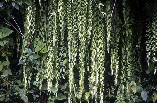 Andes et Haciendas en Equateur