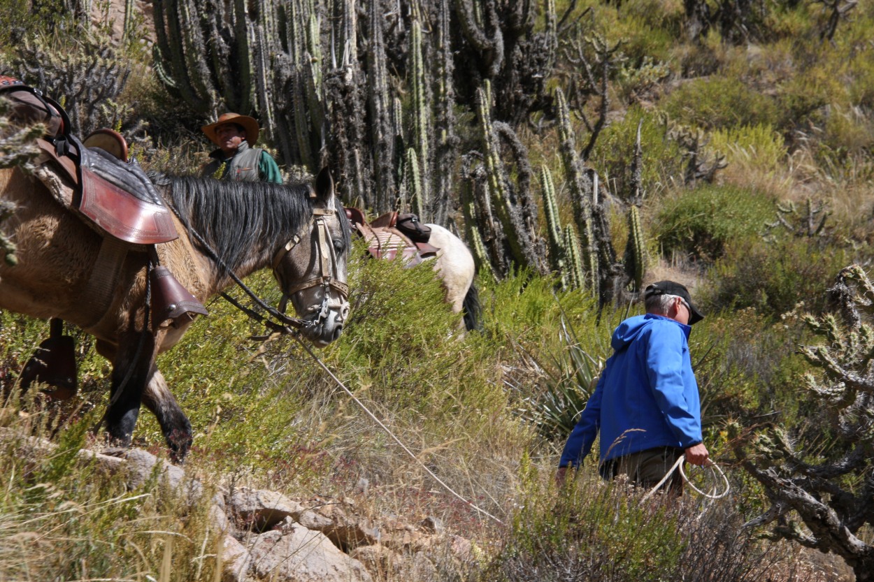 Canyon de Colca et lac Titicaca