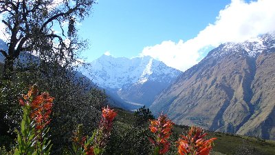 Balade au Machu Picchu