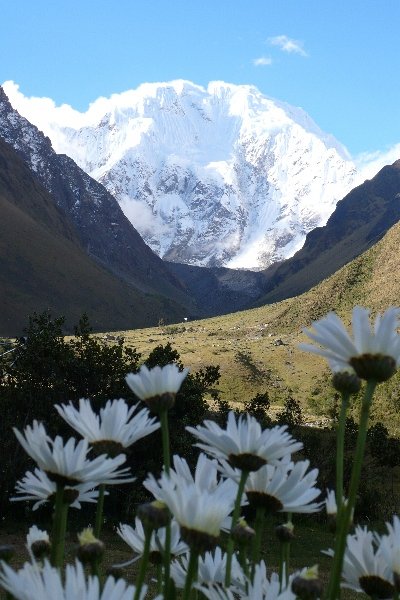 Balade au Machu Picchu