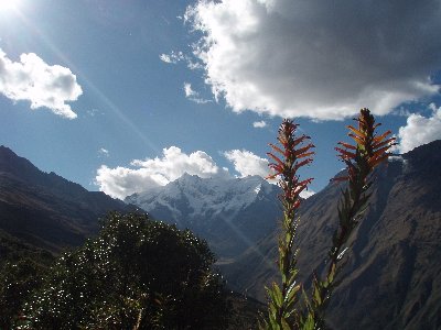 Balade au Machu Picchu