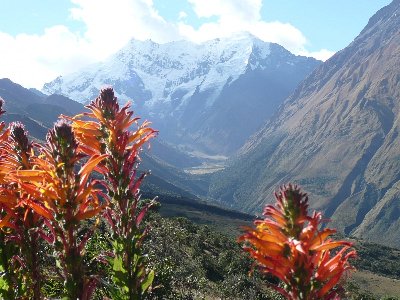 Balade au Machu Picchu