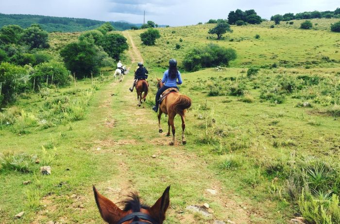 Le chemin Inca pr&egrave;s de Salta