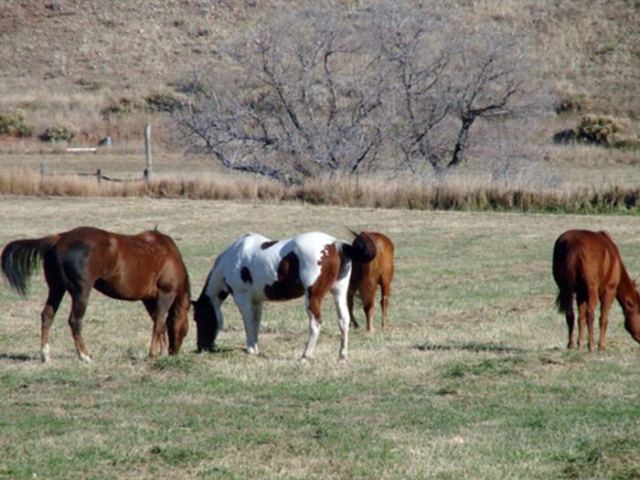 Two Creek Ranch