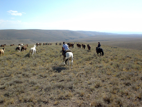 Medicine Lodge