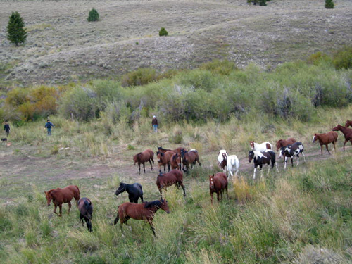 Medicine Lodge