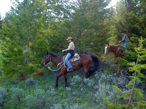 Medicine Lodge