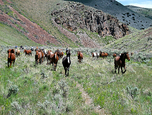 Medicine Lodge