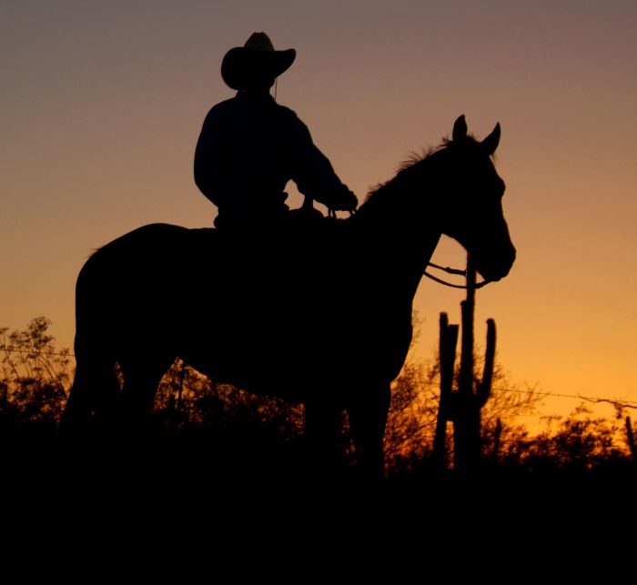 White Stallion Ranch