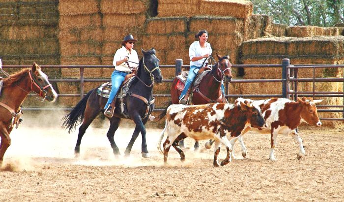 White Stallion Ranch