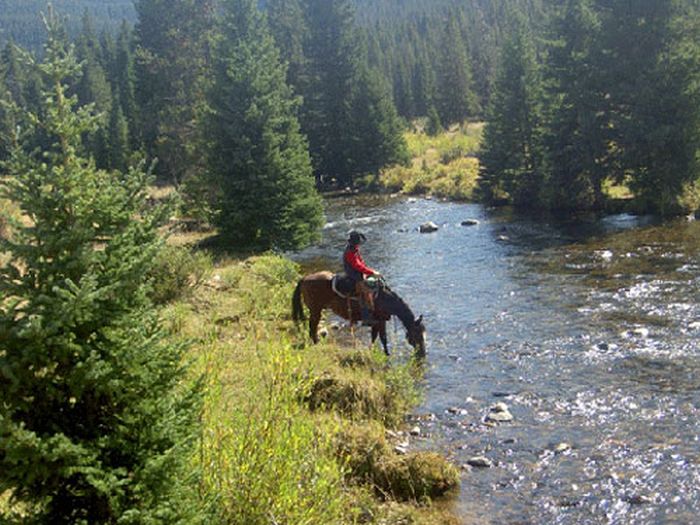 Bighorn Mountain Ranch