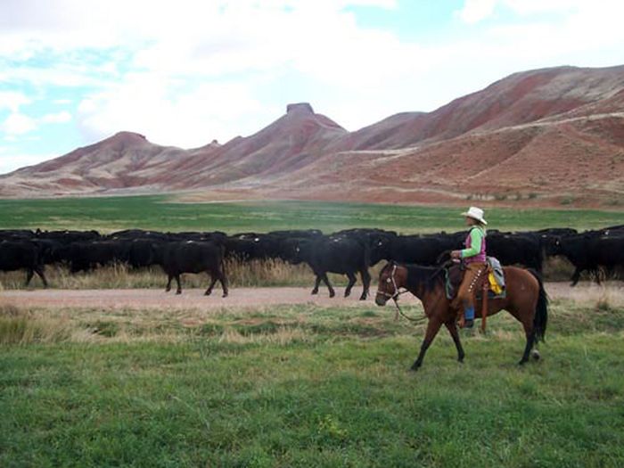 Bighorn Mountain Ranch