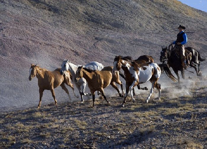 Bighorn Mountain Ranch