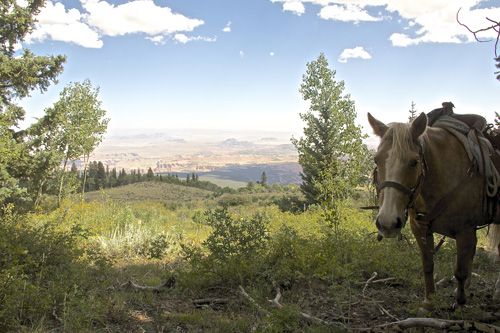 Utah Backcountry Lodge et randonn&eacute;e dans la for&ecirc;t de Dixi