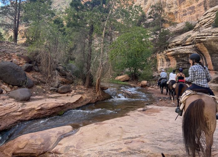 Utah Backcountry Lodge et randonn&eacute;e dans la for&ecirc;t de Dixi