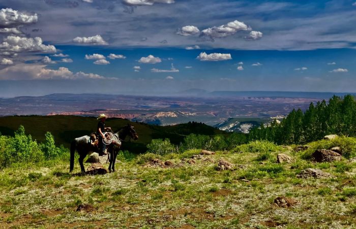 Utah Backcountry Lodge et randonn&eacute;e dans la for&ecirc;t de Dixi