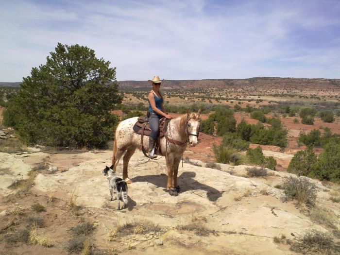 Southwest Ranch New Mexico