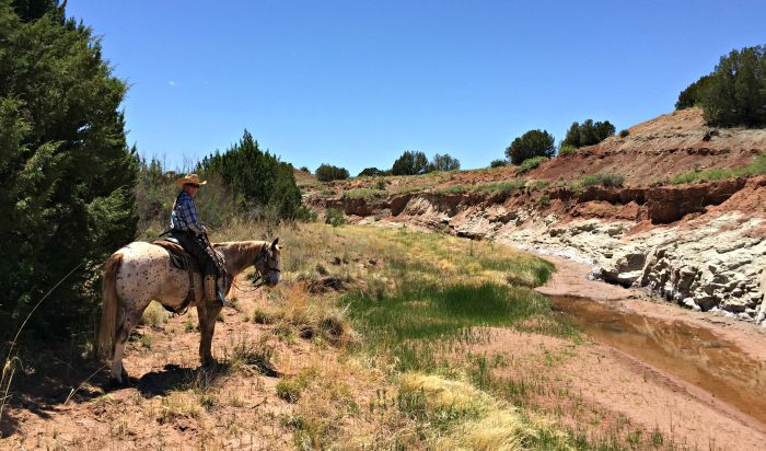 Southwest Ranch New Mexico