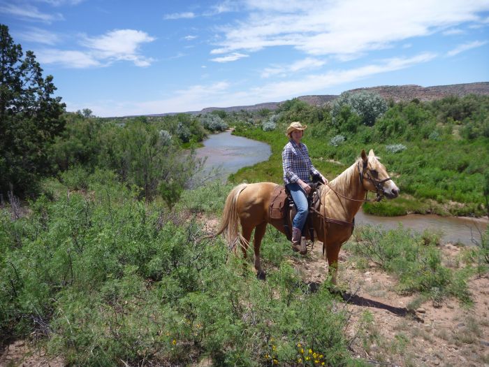 Southwest Ranch New Mexico