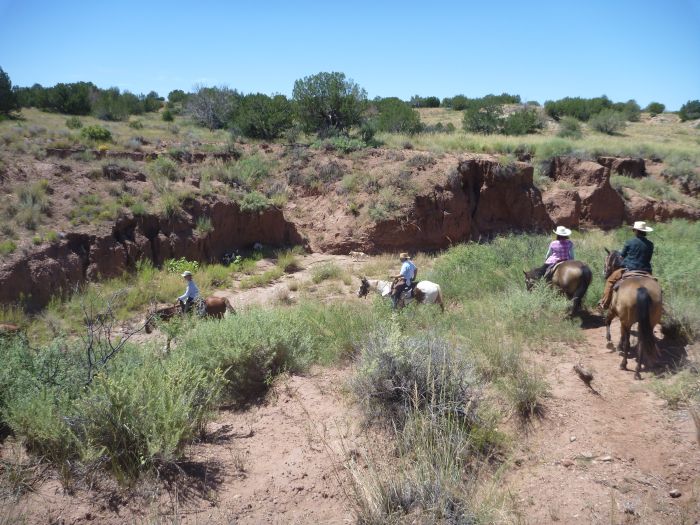 Southwest Ranch New Mexico