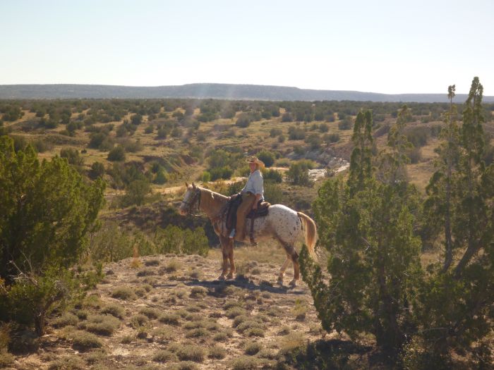 Southwest Ranch New Mexico