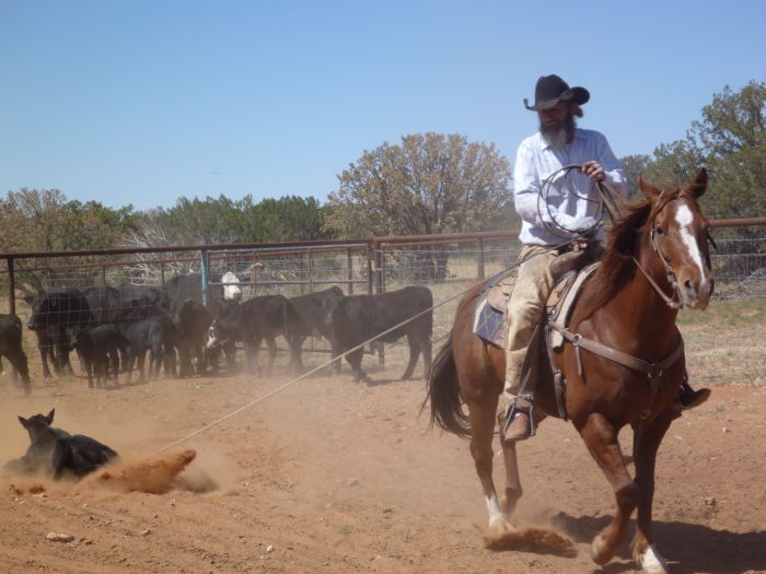 Southwest Ranch New Mexico