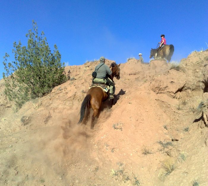 Southwest Ranch New Mexico