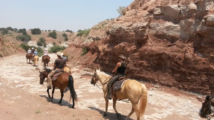 Southwest Ranch New Mexico