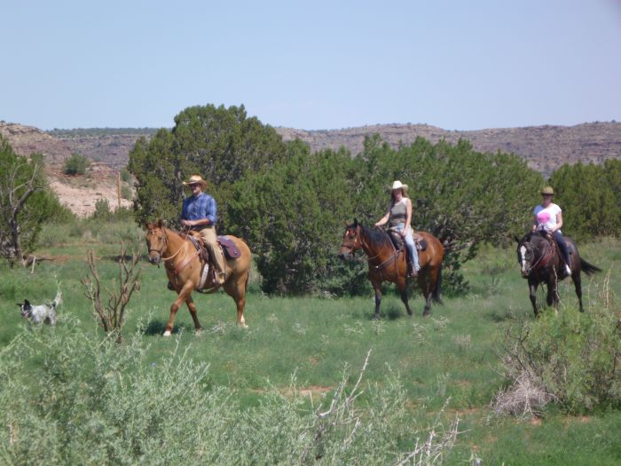Southwest Ranch New Mexico