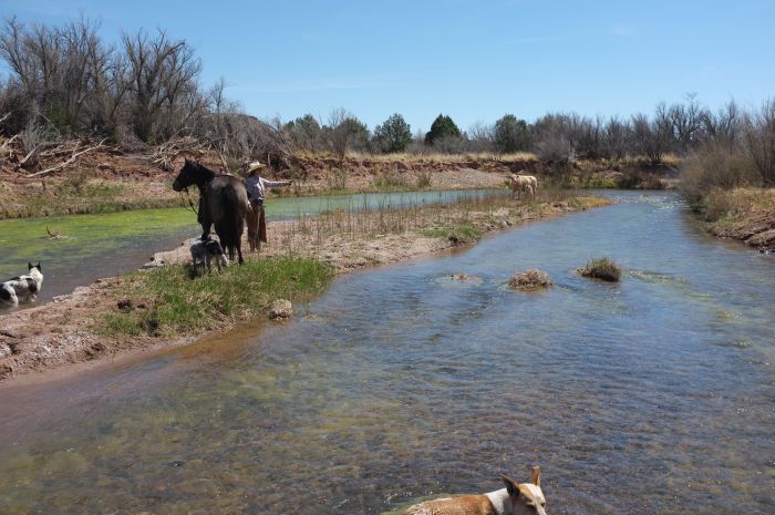 Southwest Ranch New Mexico