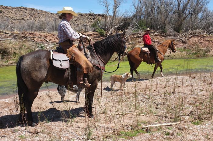 Southwest Ranch New Mexico