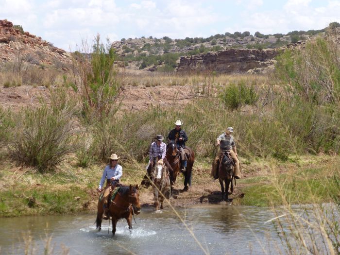 Southwest Ranch New Mexico