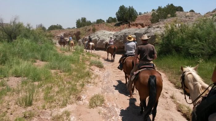 Southwest Ranch New Mexico