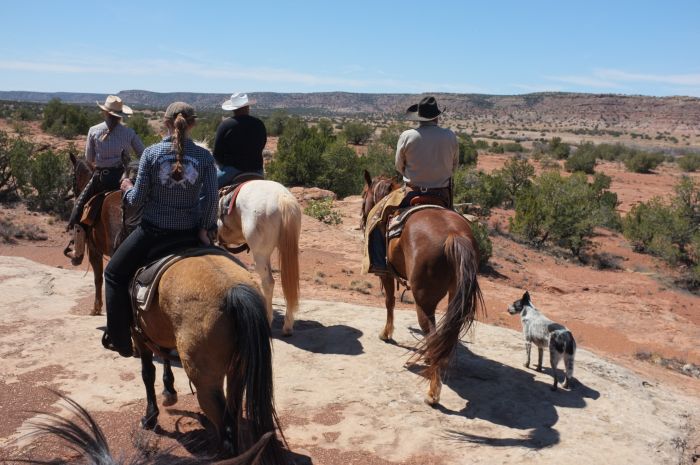 Southwest Ranch New Mexico