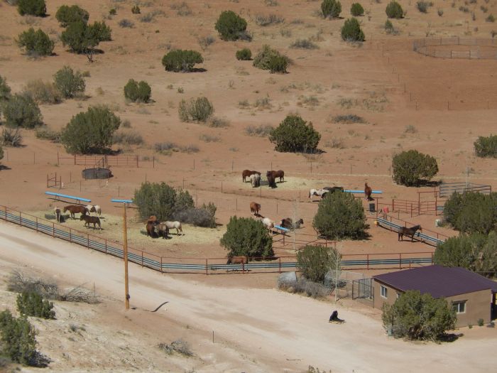 Southwest Ranch New Mexico