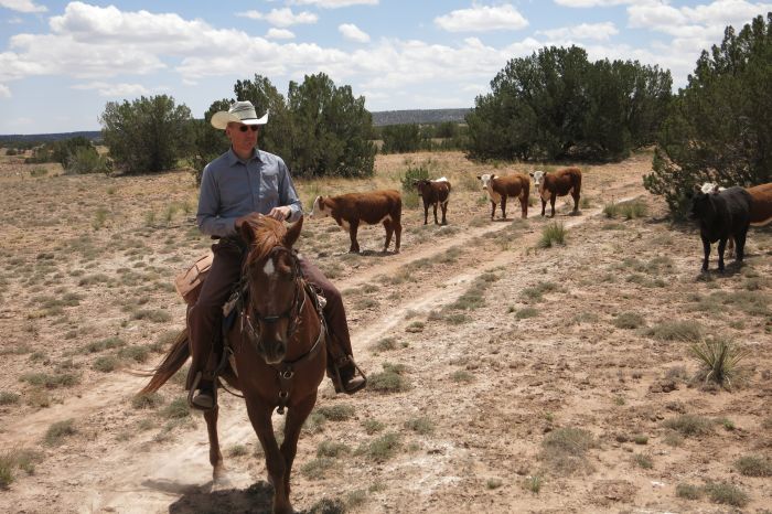 Southwest Ranch New Mexico