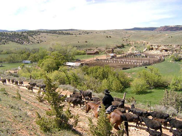 Dryhead Working Ranch