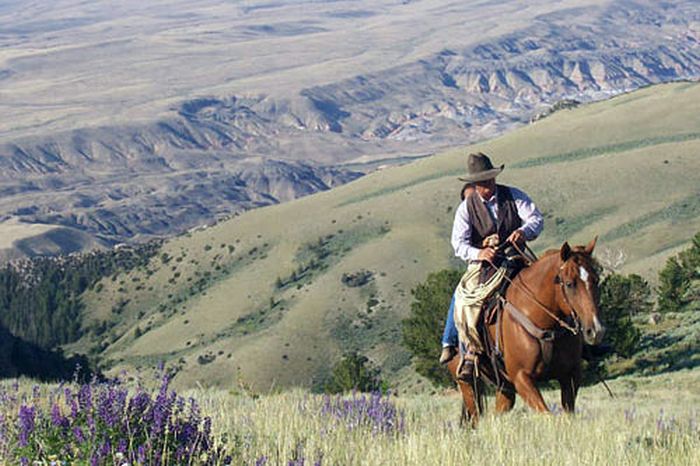 Dryhead Working Ranch