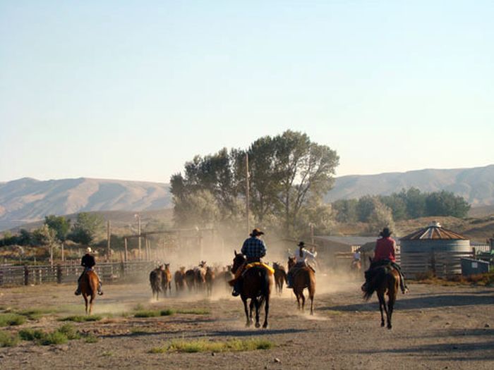 Dryhead Working Ranch