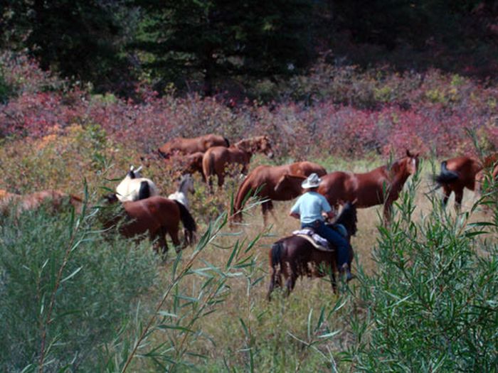 Dryhead Working Ranch