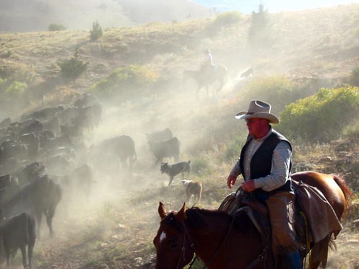 Dryhead Working Ranch