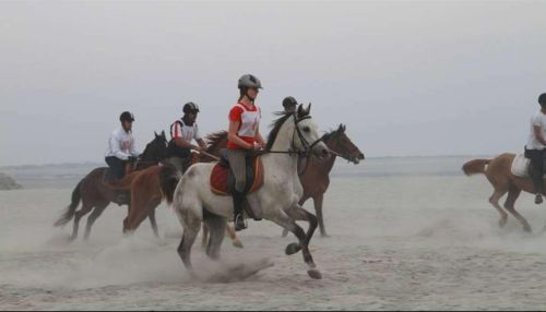 Culture de l'Assam