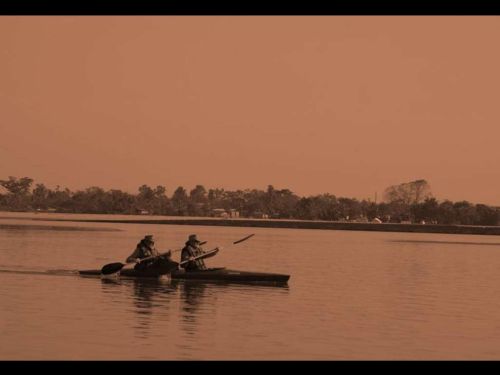 Culture de l'Assam