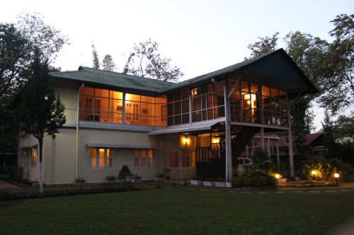 Culture de l'Assam