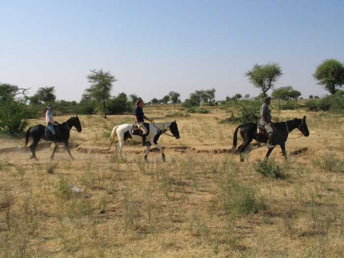 Aravalli Trail - Circuit à cheval dans le nord de l'Inde