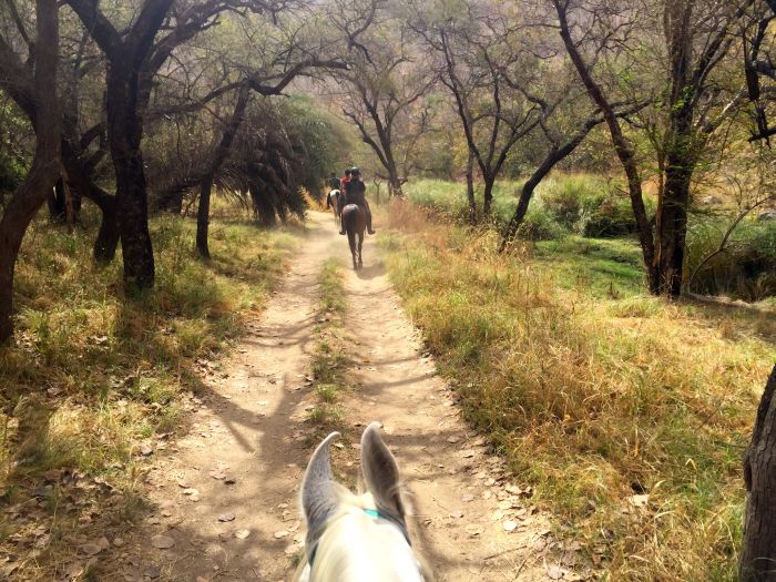 Aravalli Trail - Circuit à cheval dans le nord de l'Inde